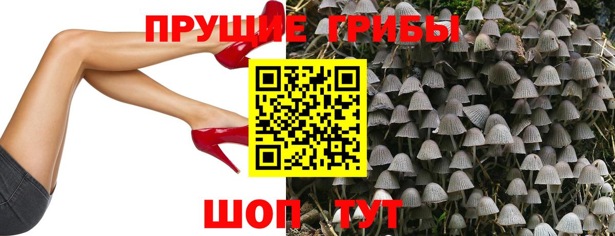 Псилоцибиновые грибы Psilocybe  Вход с VPN  Шарыпово 